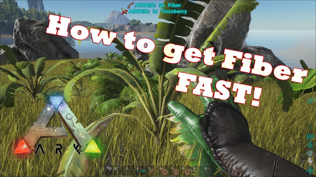 how to get ark survival evolved free